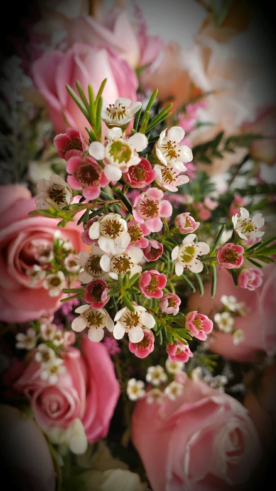 GIF uploaded by laila♡