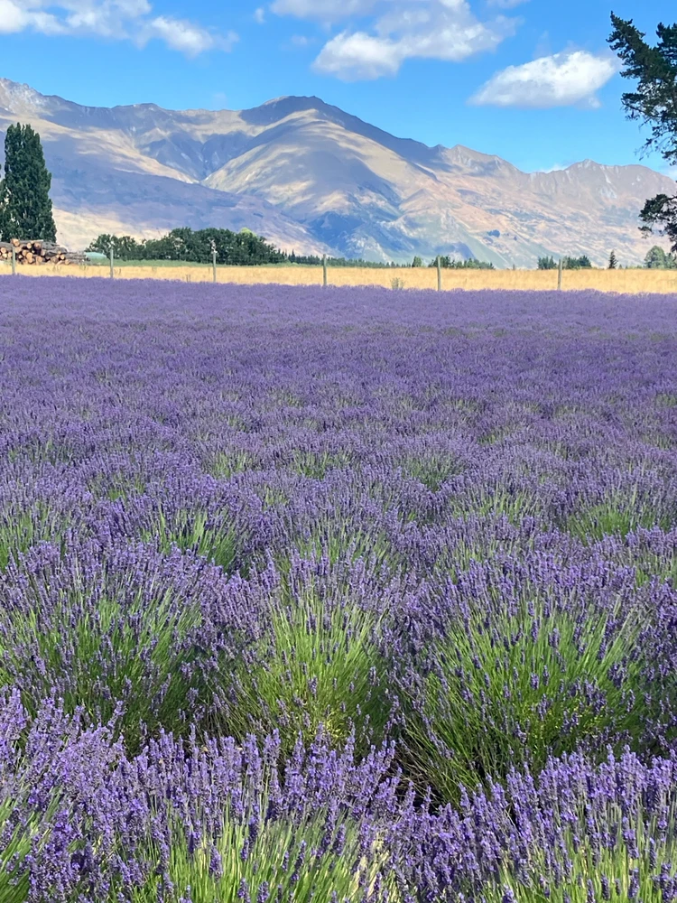 GIF uploaded by Pammy