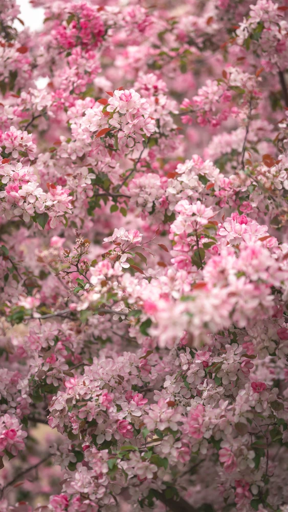 GIF uploaded by Jonathan