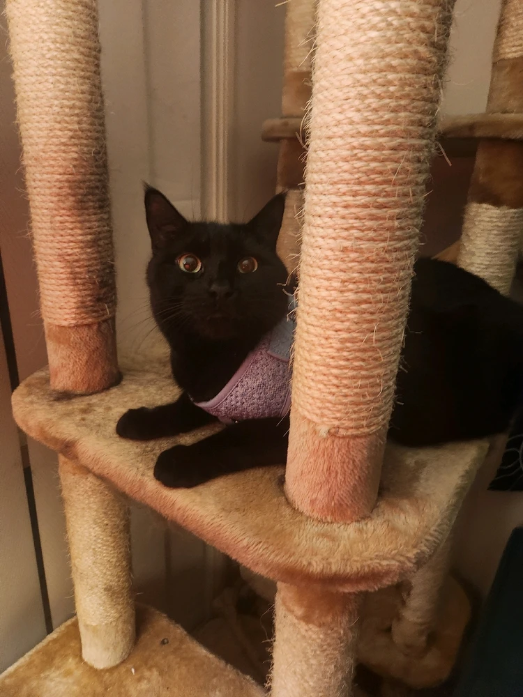 GIF uploaded by Anahita