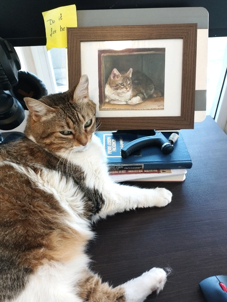 GIF subido por Diego