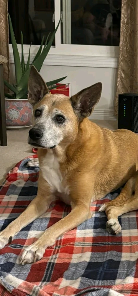 Image uploaded by Aaron