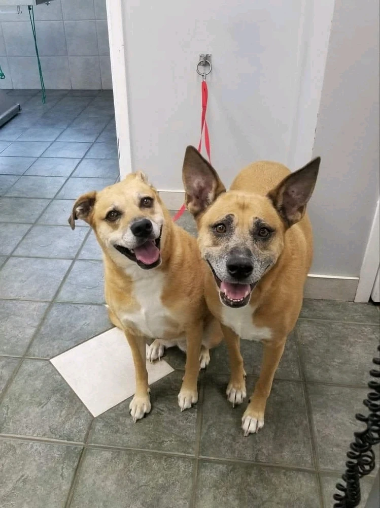 Image uploaded by Aaron