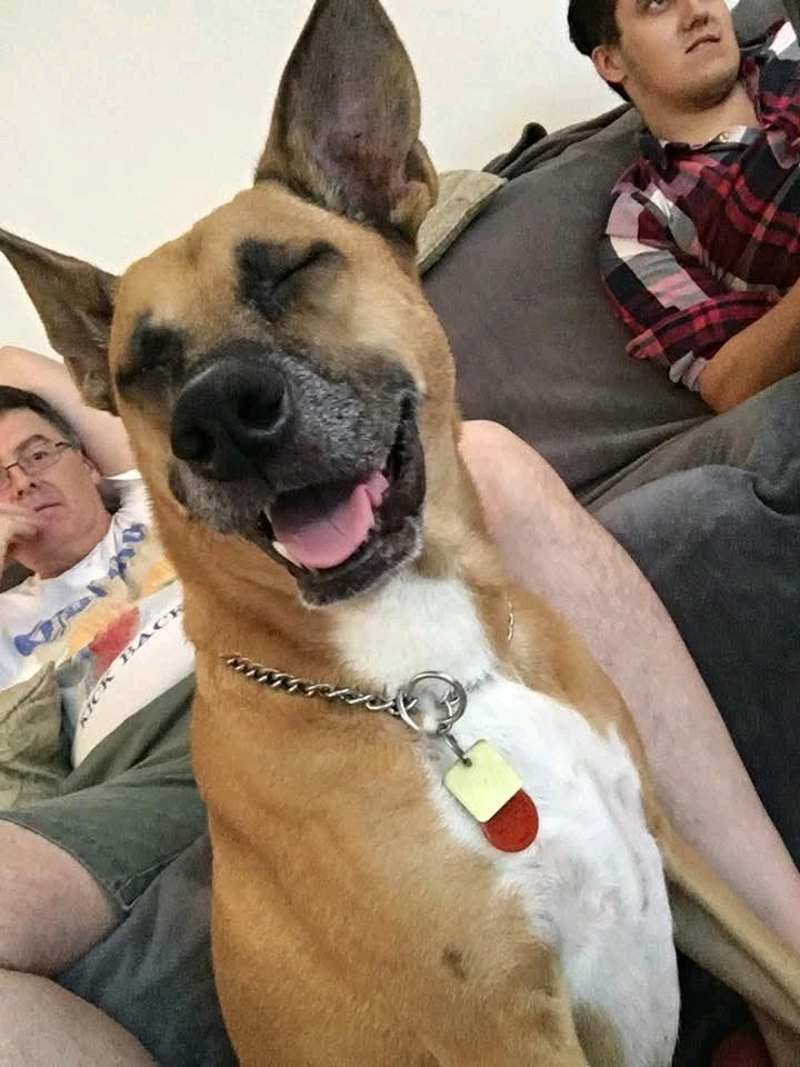 Image uploaded by Aaron