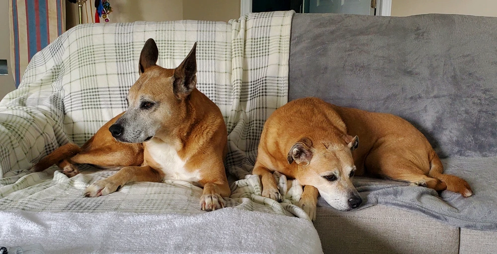 Image uploaded by Aaron