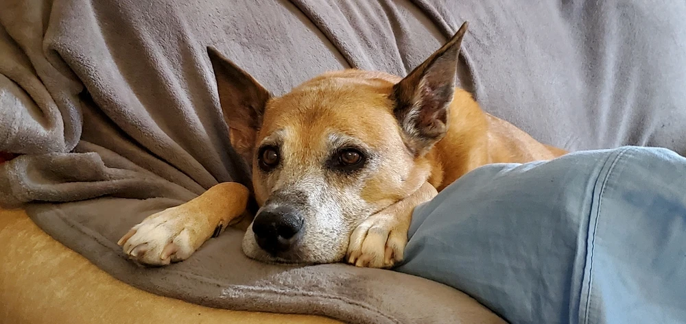 Image uploaded by Aaron