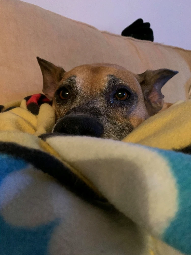 Image uploaded by Aaron