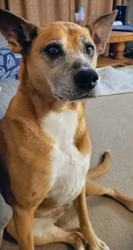 Image uploaded by Aaron