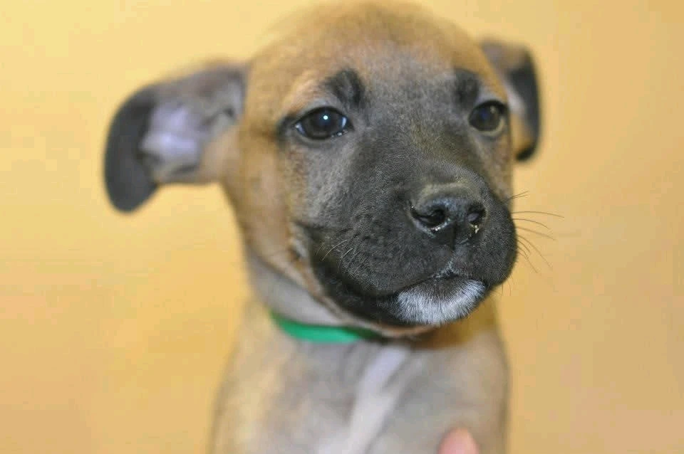 Image uploaded by Aaron