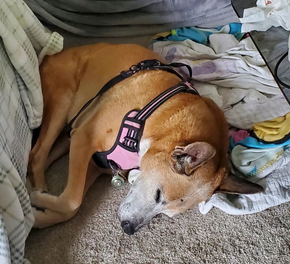 Image uploaded by Aaron