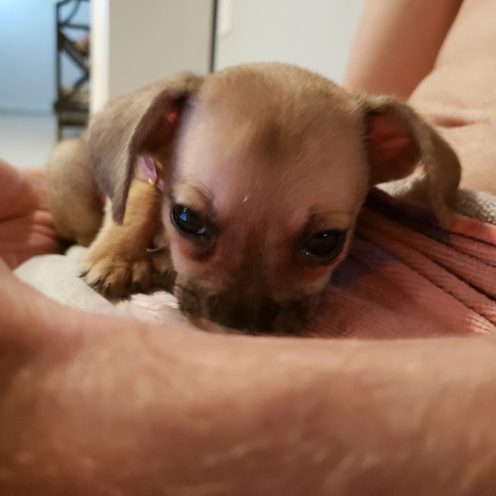 Image uploaded by Caden