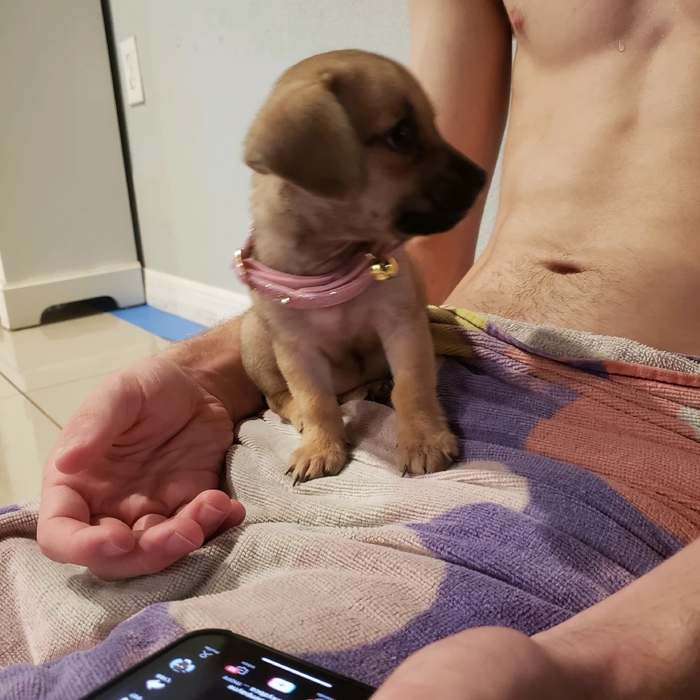 Image uploaded by Caden