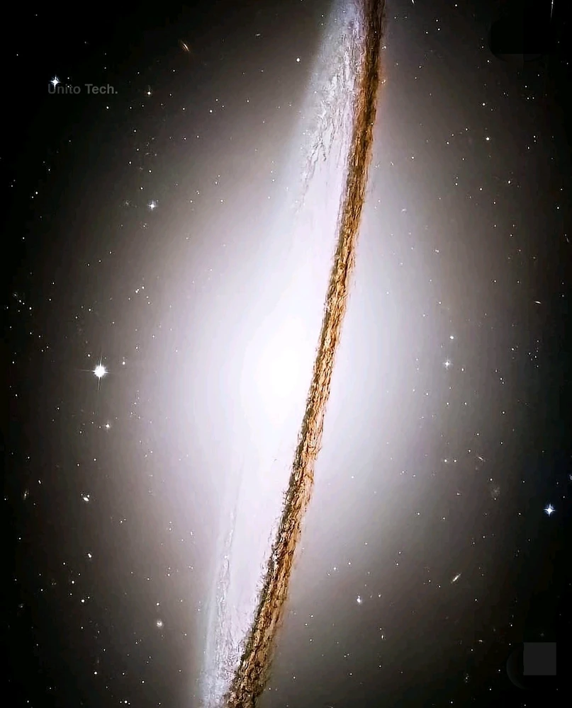 Immagine caricata da CX