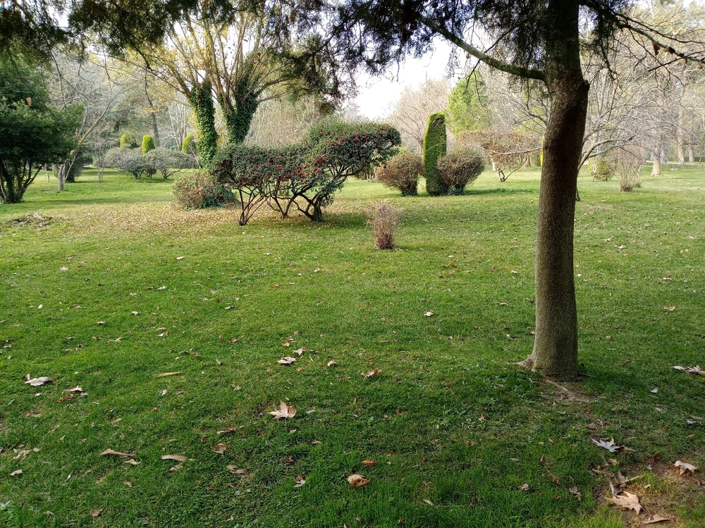 Enes tarafından yüklenen GIF