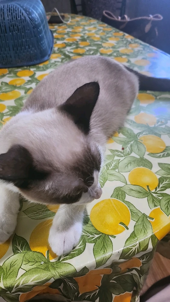 GIF na in-upload ni Myr