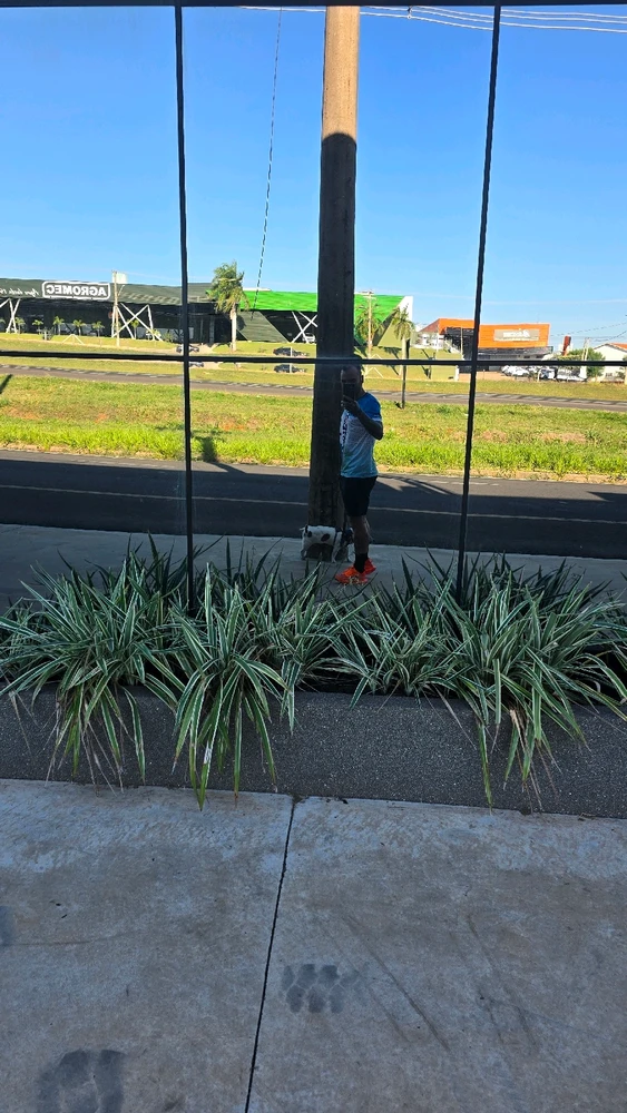 GIF enviado por Vinicius