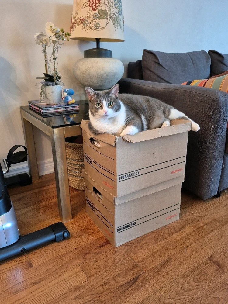 GIF uploaded by Marcin