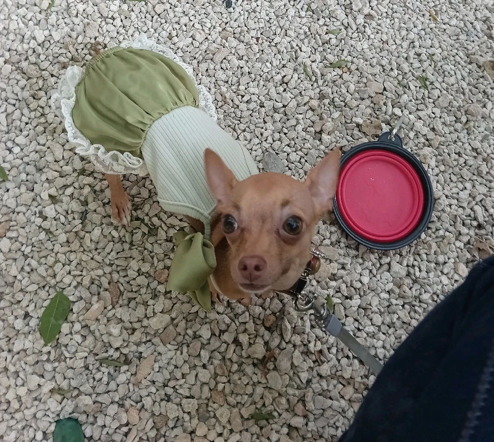 Imagen subida por Aurora