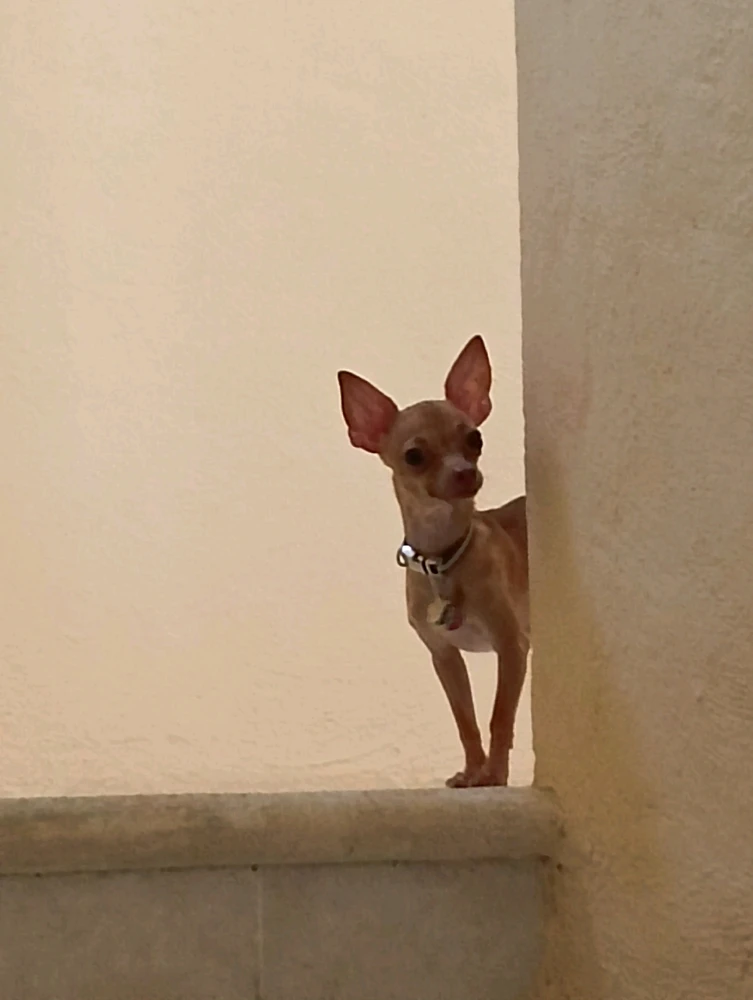 Imagen subida por Aurora