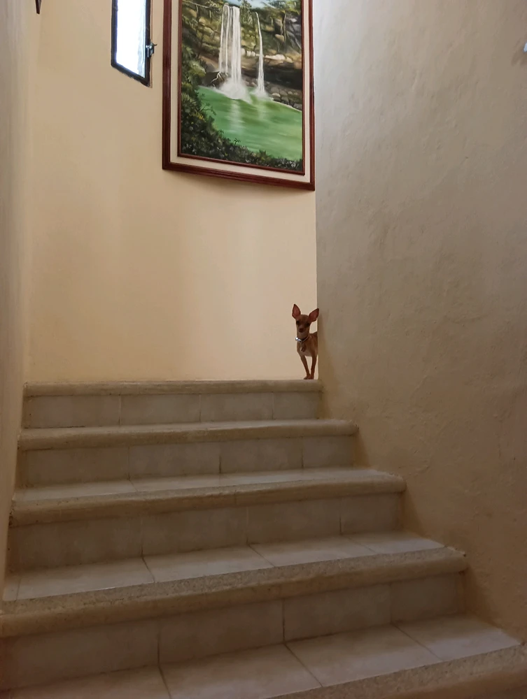 Imagen subida por Aurora