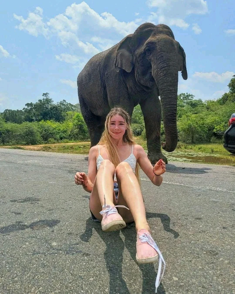 GIF uploaded by A Cash