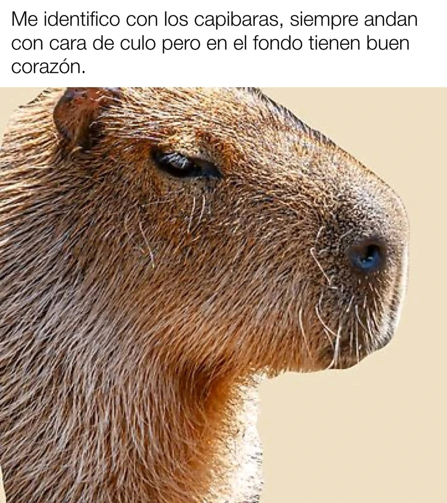 GIF subido por Lour
