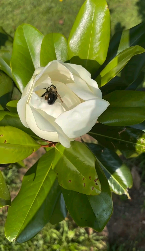 GIF uploaded by Marcin