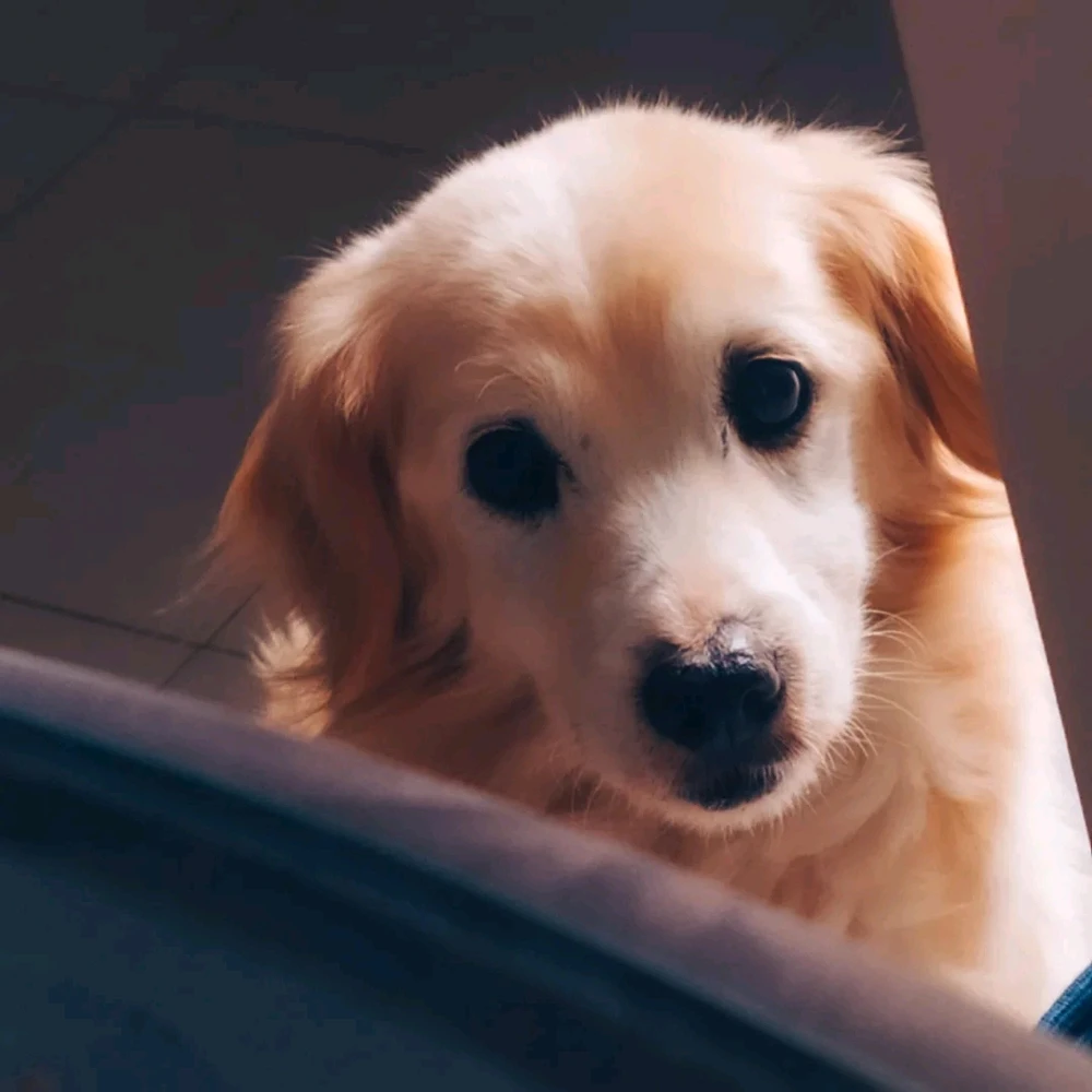 GIF ανέβηκε από Aggelos