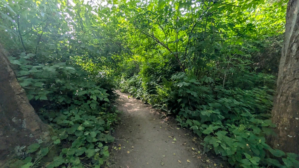 Image uploaded by Lauryn