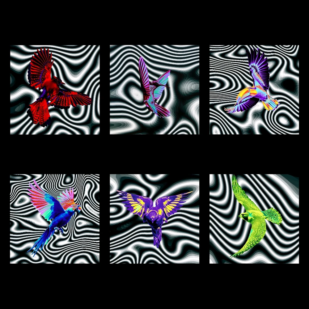 Luna által feltöltött GIF