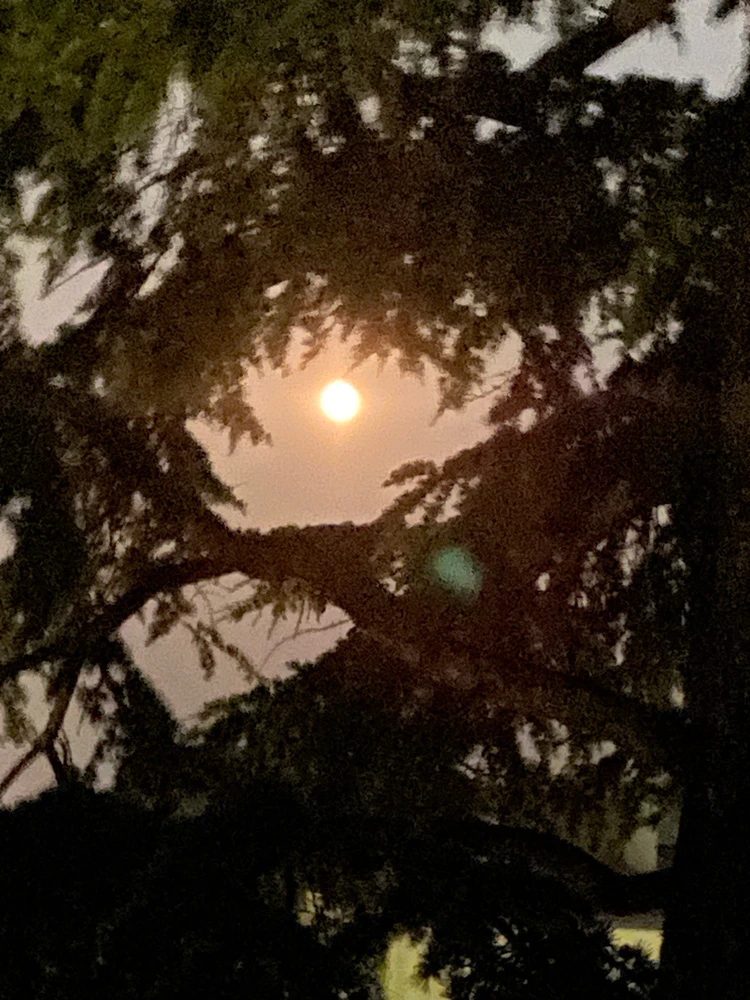 GIF caricata da Lolly