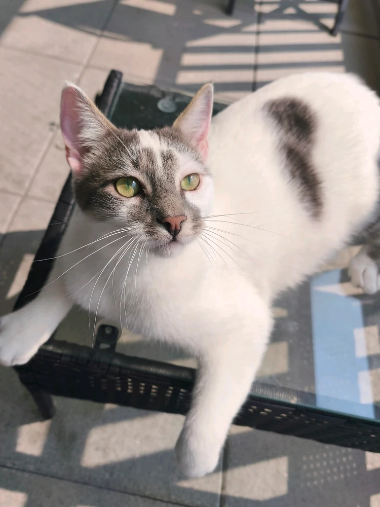 Image ajoutée par Laura