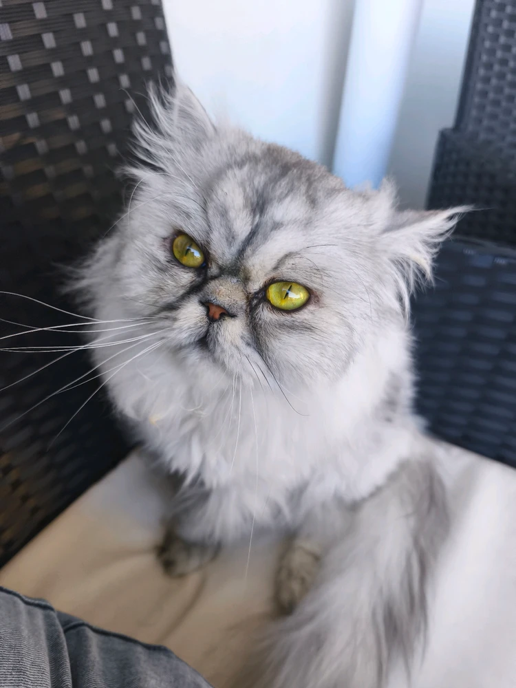 Image ajoutée par Laura