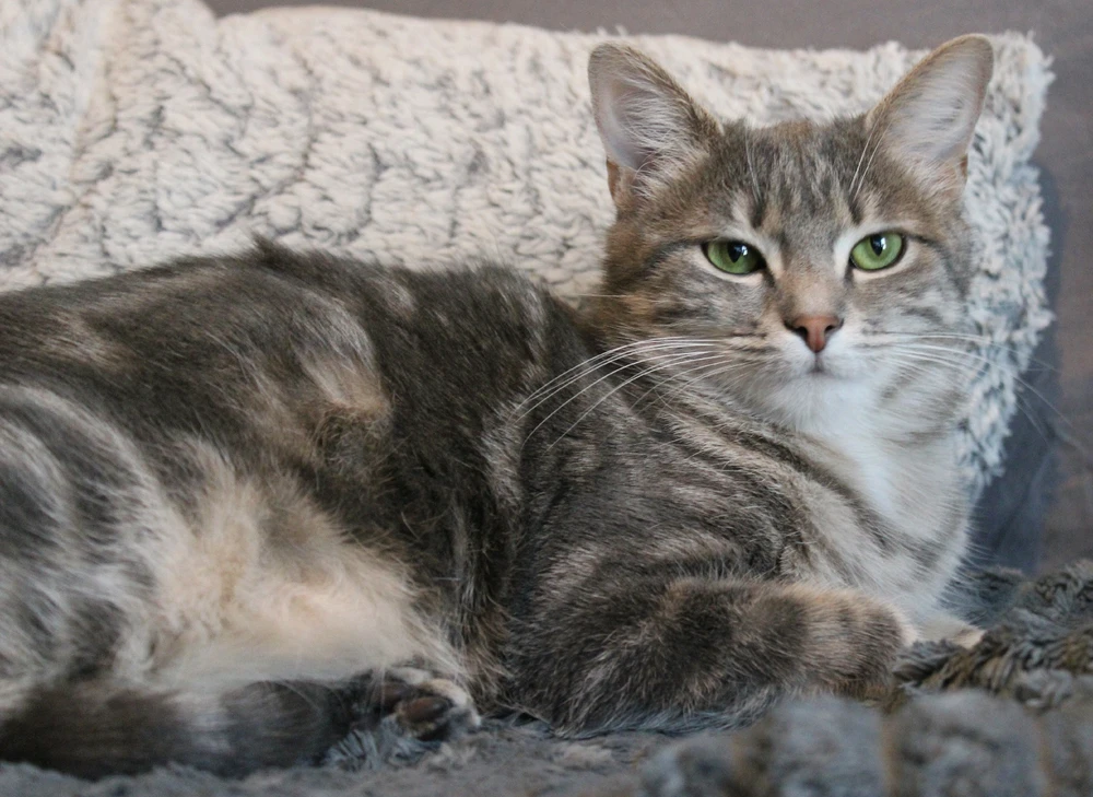 Image ajoutée par Laura