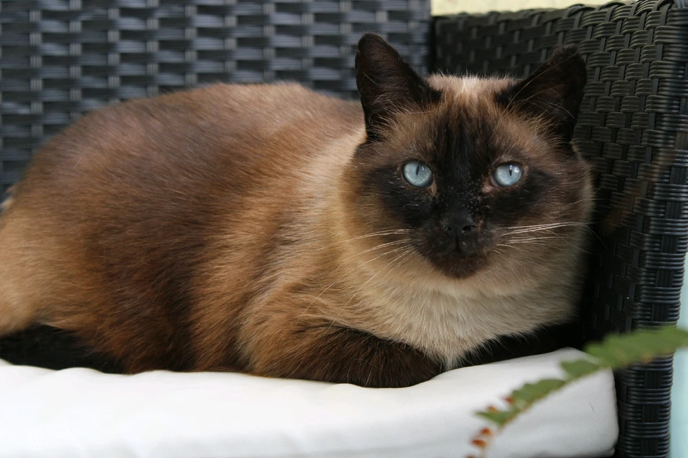 Image ajoutée par Laura