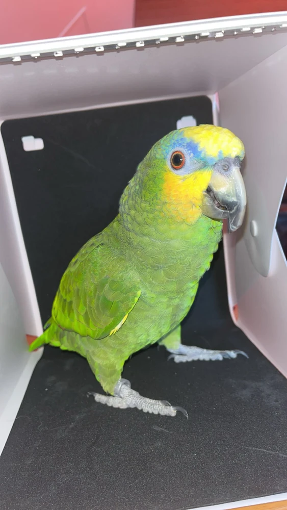 GIF uploadet af Christian