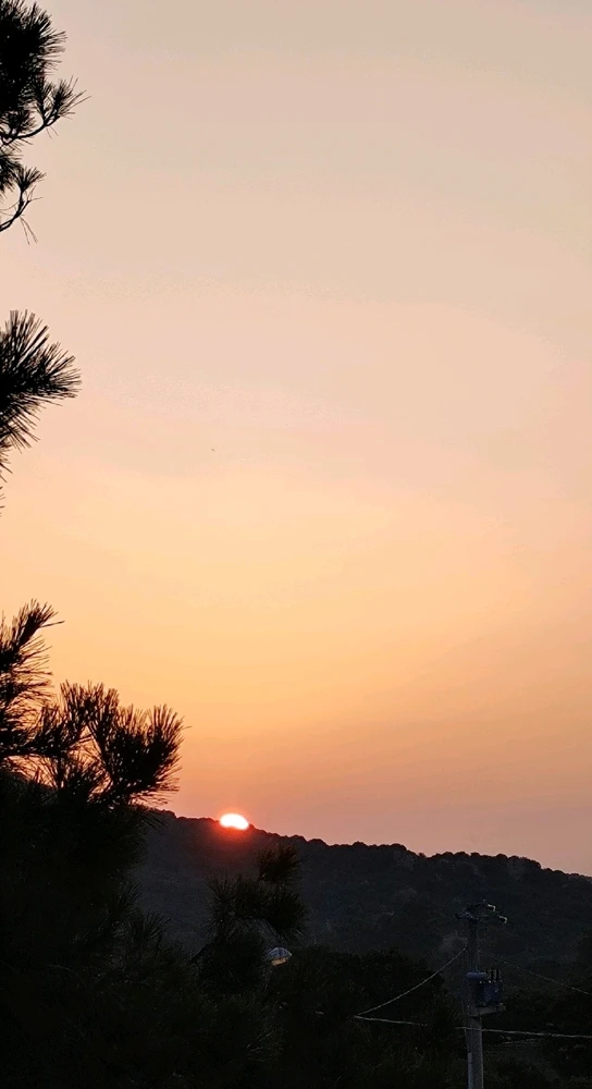 Immagine caricata da Nanaki