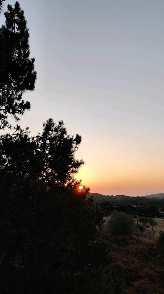 Immagine caricata da Nanaki