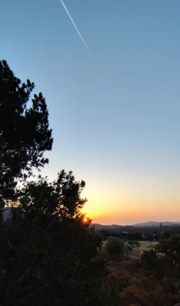 Immagine caricata da Nanaki