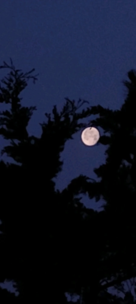 Immagine caricata da Nanaki