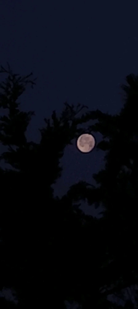 Immagine caricata da Nanaki