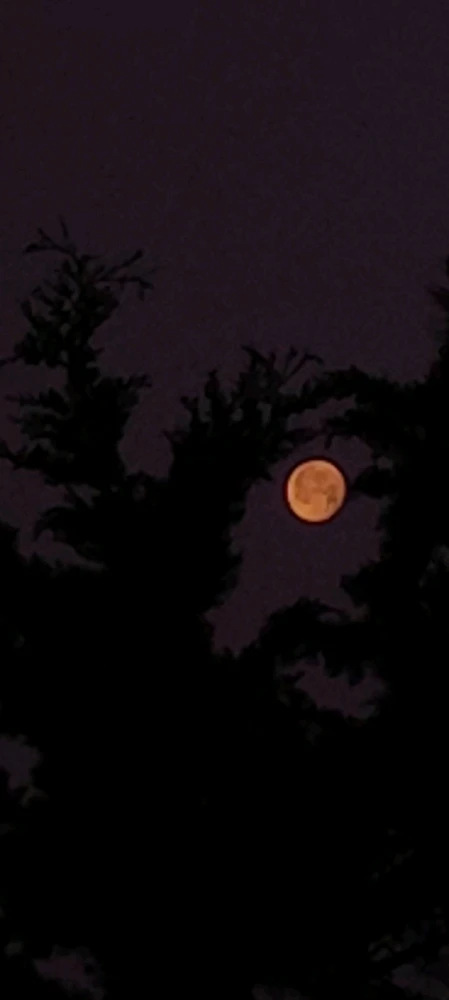 Immagine caricata da Nanaki