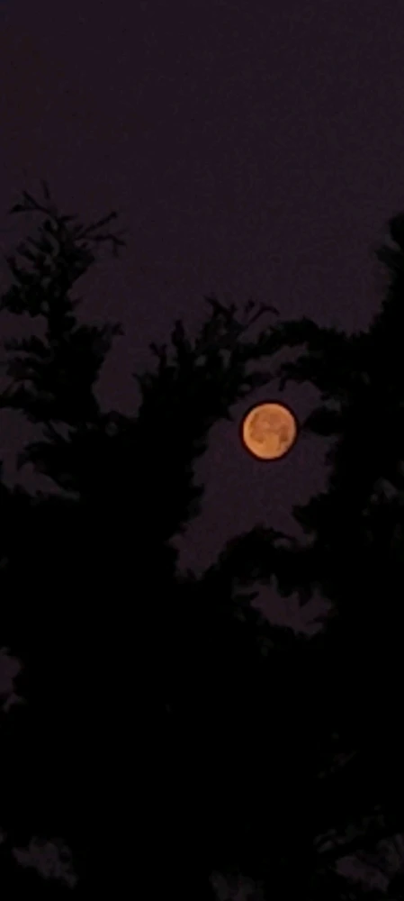 Immagine caricata da Nanaki