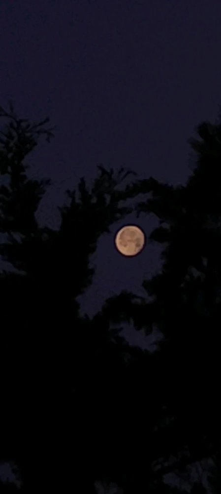 Immagine caricata da Nanaki