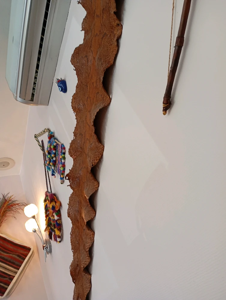 Image ajoutée par HaavaNoah