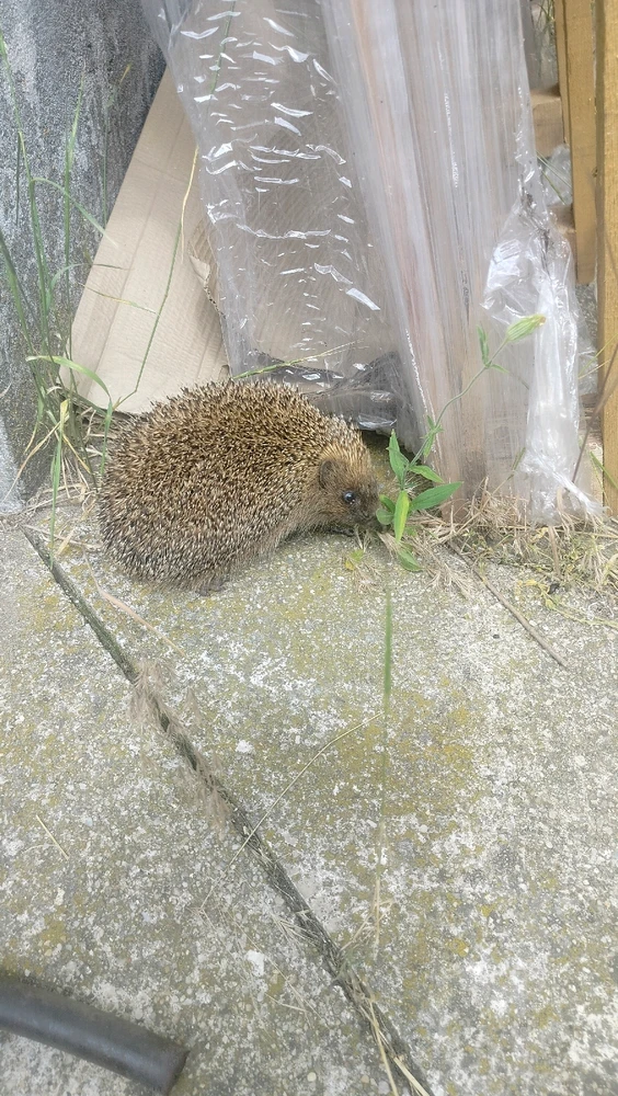 Image uploaded by Steph