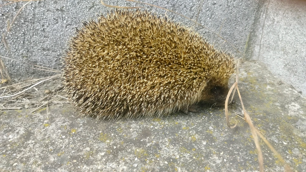 Image uploaded by Steph