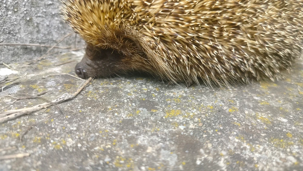 Image uploaded by Steph