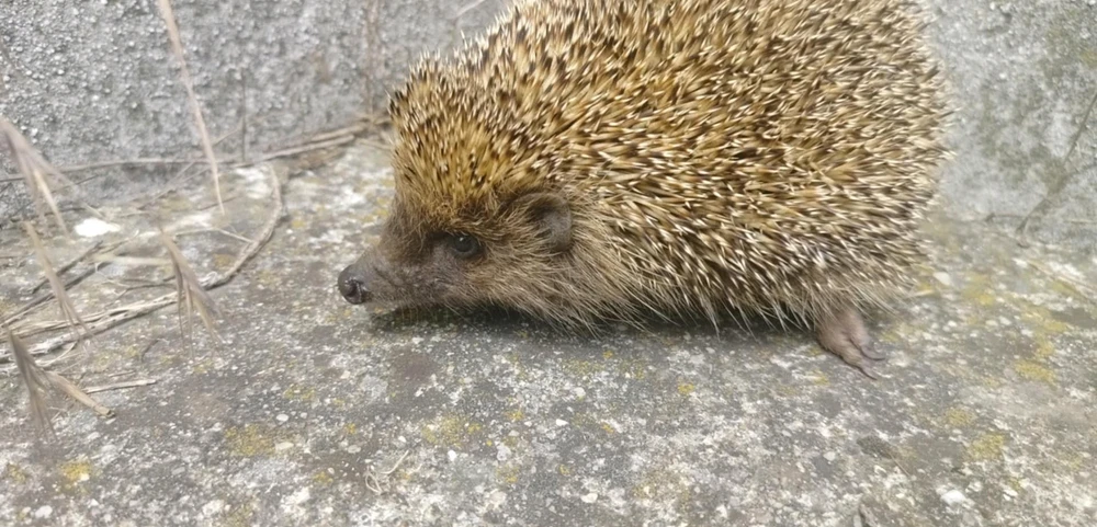 Image uploaded by Steph