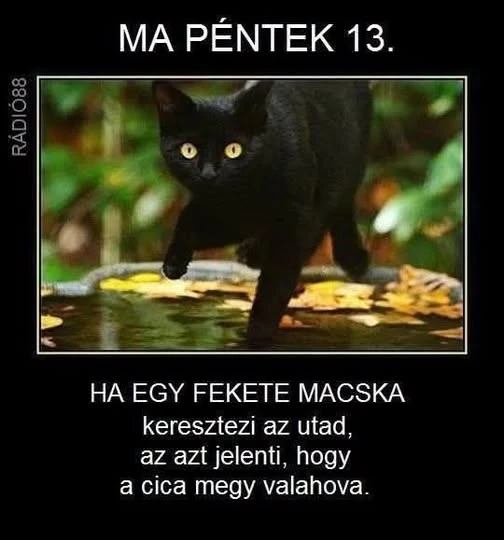 Máté által feltöltött kép